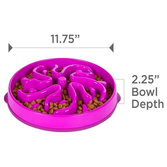 NWT Outward Hound Slo Bowl Purple LARGE Slow Feeder Anti Bloat Dog Bowl - Picture 6 of 9